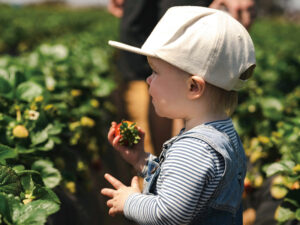 ヨーロッパの子育て文化6選。子どもたちが体験する「学びと遊び」の夏